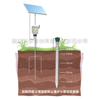 茄子成人视频剖麵水分速測儀 茄子成人视频剖麵水分速測儀