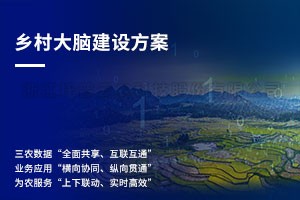 浙江鄉村大腦建設方案