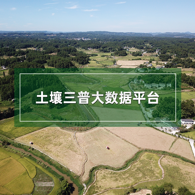 茄子成人视频三普大數據平台