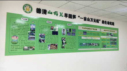 德清山伢兒早園筍相關展示內容 德清山伢兒早園筍相關展示內容