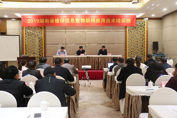 茄子视频污免费观看服務湖南省植保信息技術培訓班在杭開班 茄子视频污免费观看服務湖南省植保信息技術培訓班在杭開班