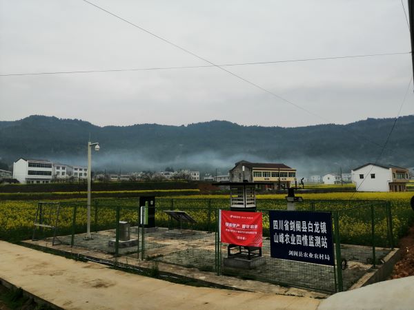 茄子视频污免费观看病蟲害監測點 茄子视频污免费观看病蟲害監測點