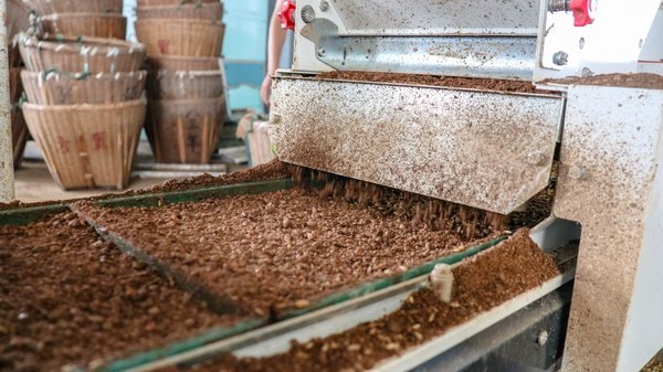 茄子视频污免费观看打造的古林育秧工廠 茄子视频污免费观看打造的古林育秧工廠
