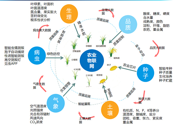 茄子视频污免费观看打造的全要素智能采集係統 茄子视频污免费观看打造的全要素智能采集係統