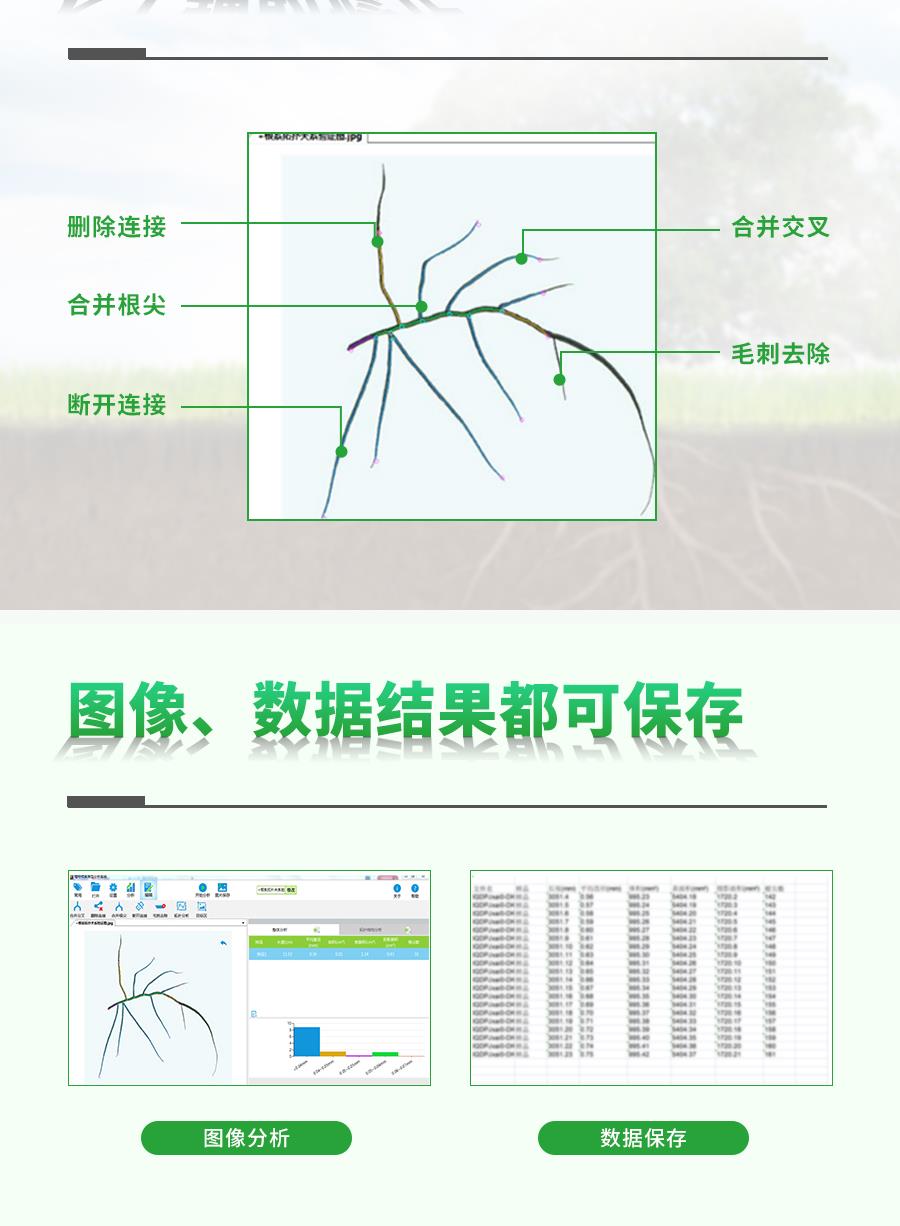 植物根係分析儀 植物根係分析儀