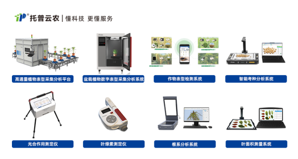 1724318339430840.png SEO (3).png