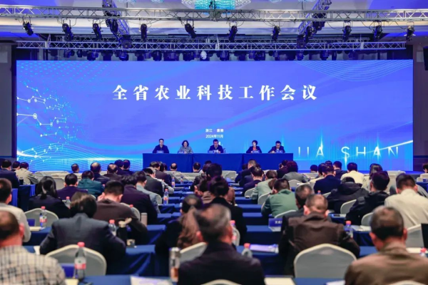 1731488041941201.png seo圖1.png