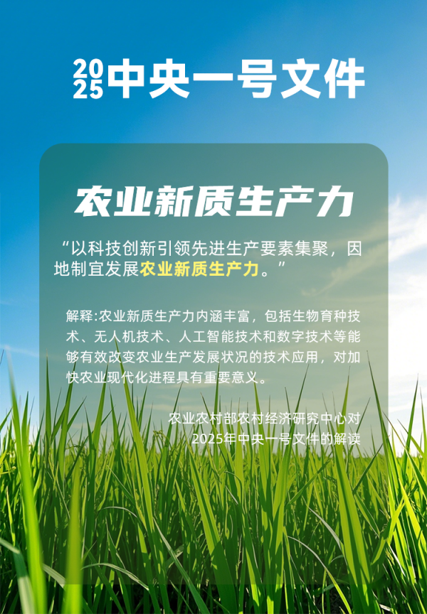 1742808804740996.png seo-1.png