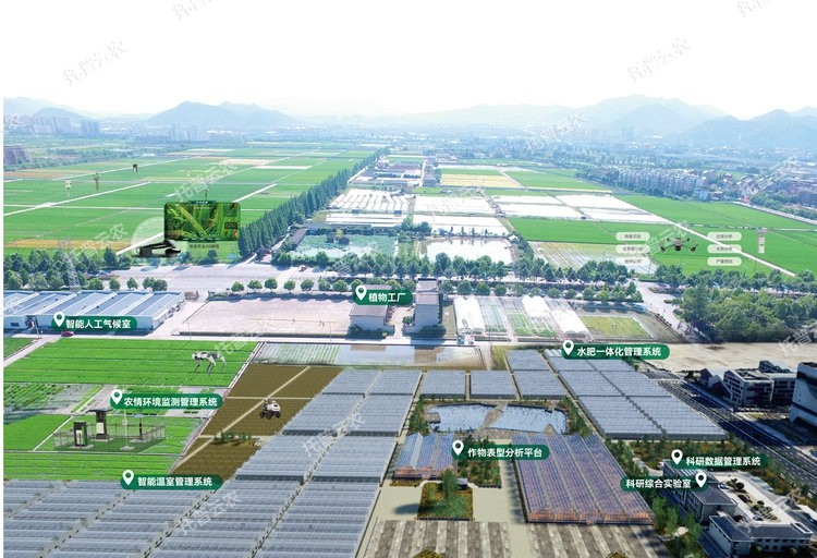 1762743497459372.jpg 1 封麵圖.jpg