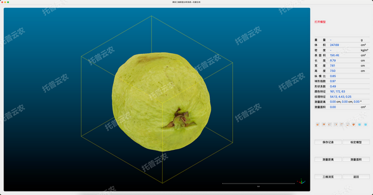 1770773534715888.png 芭樂三維分析圖2.png