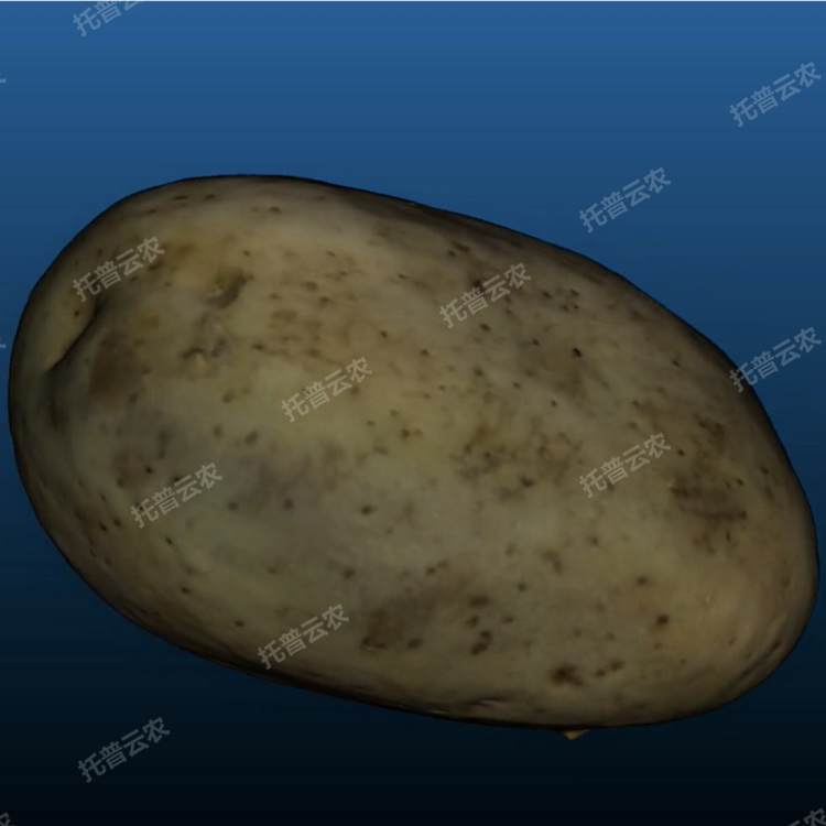 1770778609363623.png 主圖5.png