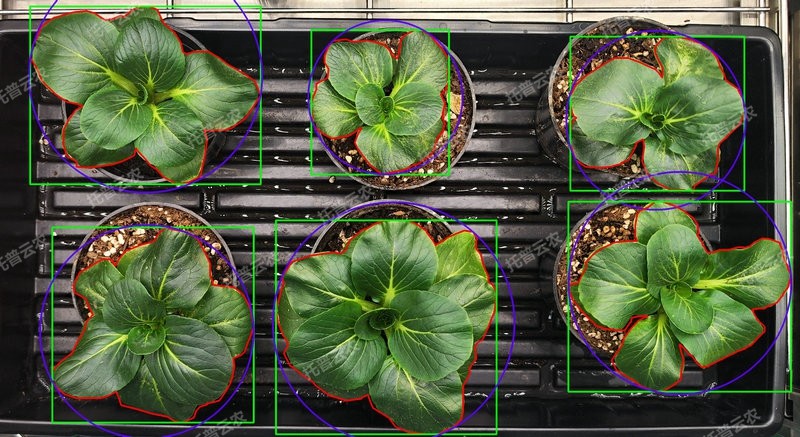 1772702682463497.jpg 表型分析-環控型植物生長表型分析係統.jpg